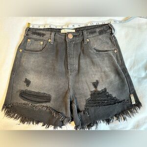 One Teaspoon Legend shorts